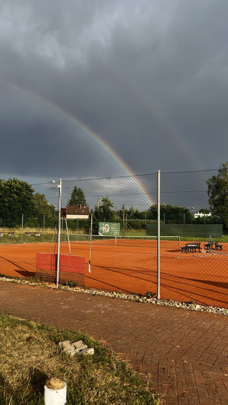 Platz Instandsetzung 2026